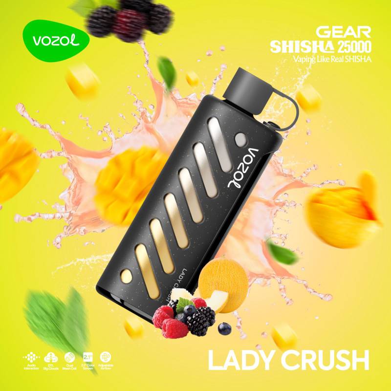 VOZOL GEAR SHISHA 25000 PUFFS - Lady Crush